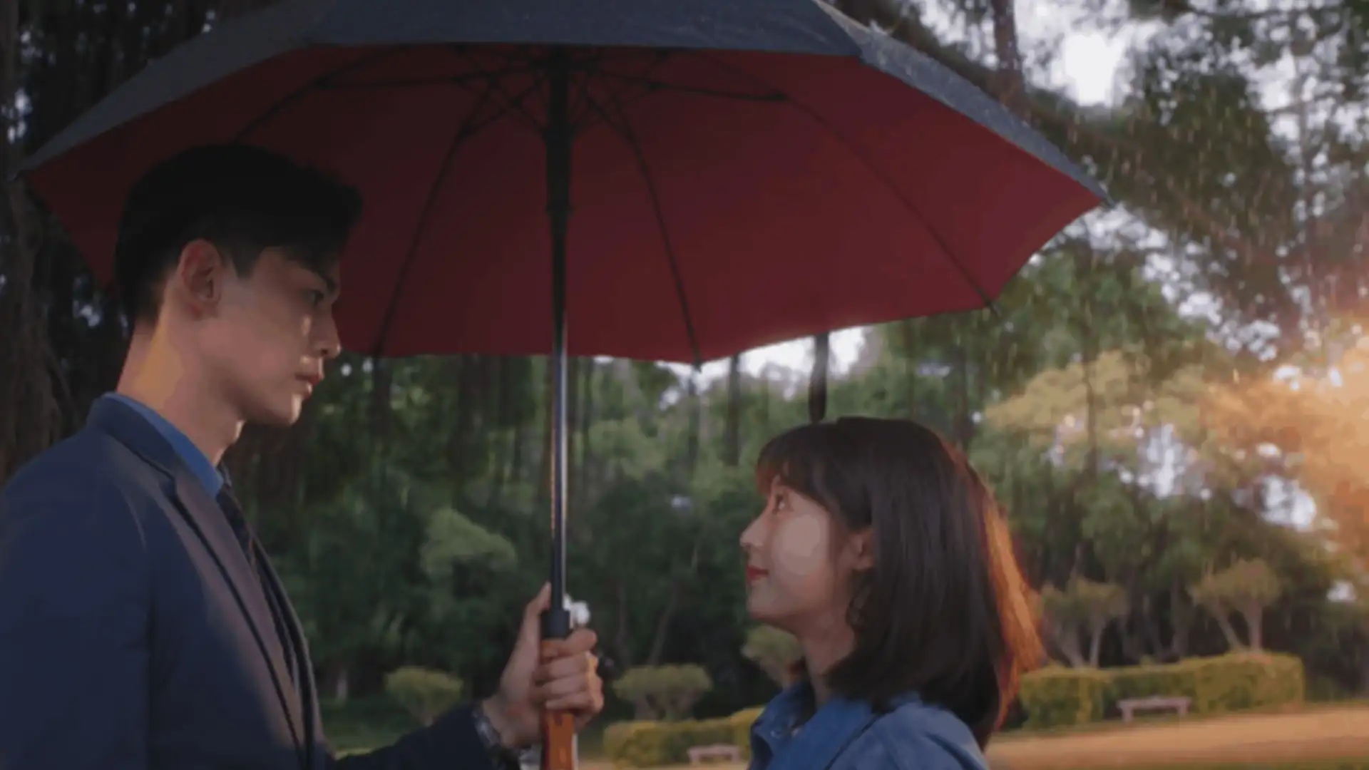 شادی کوچک من